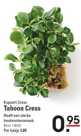 Aanbiedingen Koppert cress tahoon cress - Huismerk - Sligro - Geldig van 09/04/2015 tot 27/04/2015 bij Sligro