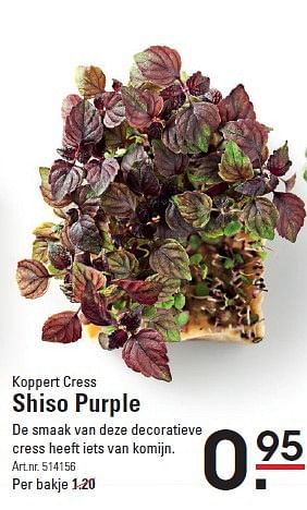 Aanbiedingen Koppert cress shiso purple - Huismerk - Sligro - Geldig van 09/04/2015 tot 27/04/2015 bij Sligro