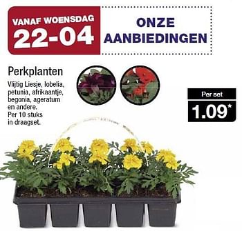 Aanbiedingen Perkplanten - Huismerk - Aldi - Geldig van 22/04/2015 tot 28/04/2015 bij Aldi