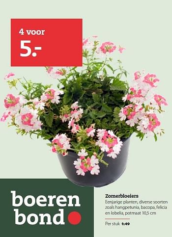 Aanbiedingen Zomerbloeiers eenjarige planten, diverse soorten - Huismerk- Boerenbond - Geldig van 27/04/2015 tot 10/05/2015 bij Boerenbond