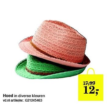 Aanbiedingen Hoed in diverse kleuren - Huismerk - Vroom &amp; Dreesman - Geldig van 27/04/2015 tot 10/05/2015 bij Vroom & Dreesman