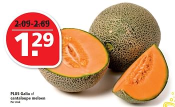 Aanbiedingen Plus galia of cantaloupe meloen - Huismerk - Plus - Geldig van 07/06/2015 tot 13/06/2015 bij Plus