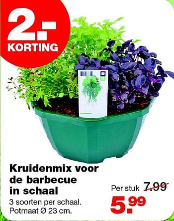 Aanbiedingen Kruidenmix voor de barbecue in schaal - Huismerk - Praxis - Geldig van 15/06/2015 tot 21/06/2015 bij Praxis