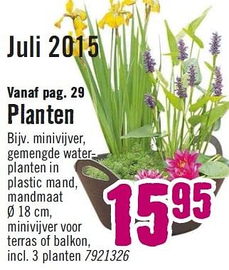 Aanbiedingen Planten minivijver, gemengde water- planten in plastic mand - Huismerk Hornbach - Geldig van 29/06/2015 tot 01/08/2015 bij Hornbach