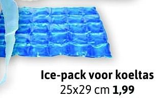 Aanbiedingen Ice-pack voor koeltas - Huismerk - Xenos - Geldig van 17/07/2015 tot 08/08/2015 bij Xenos