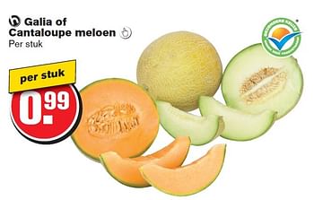 Aanbiedingen Galia of cantaloupe meloen  - Huismerk - Hoogvliet - Geldig van 29/07/2015 tot 04/08/2015 bij Hoogvliet