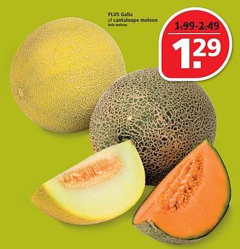 Aanbiedingen Plus galia of cantaloupe meloen - Huismerk - Plus - Geldig van 02/08/2015 tot 08/08/2015 bij Plus