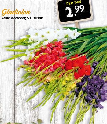 Aanbiedingen Gladiolen - Huismerk - Lidl - Geldig van 10/08/2015 tot 12/08/2015 bij Lidl