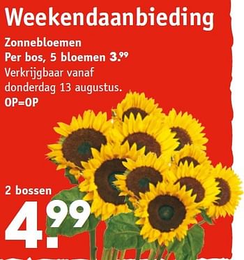 Aanbiedingen Zonnebloemen - Huismerk - Intratuin - Geldig van 10/08/2015 tot 16/08/2015 bij Intratuin