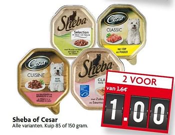 Aanbiedingen Sheba of cesar - Cesar - Geldig van 16/08/2015 tot 22/08/2015 bij Deka Markt