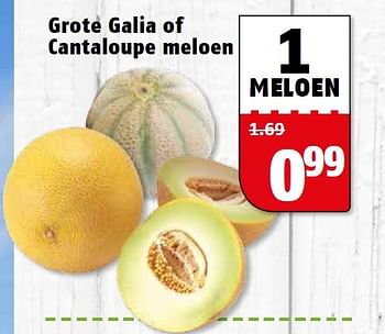 Aanbiedingen Grote galia of cantaloupe meloen - Huismerk Poiesz - Geldig van 17/08/2015 tot 23/08/2015 bij Poiesz