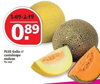 Aanbiedingen Plus galia of cantaloupe meloen - Huismerk - Plus - Geldig van 16/08/2015 tot 22/08/2015 bij Plus