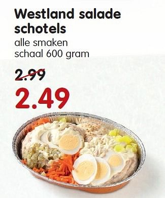 Aanbiedingen Westland salade schotels - Huismerk - Em-té - Geldig van 23/08/2015 tot 29/08/2015 bij Em-té