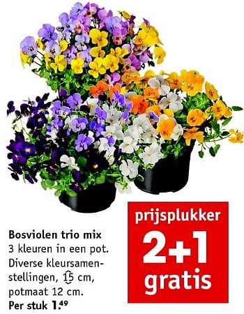 Aanbiedingen Bosviolen trio mix - Huismerk - Intratuin - Geldig van 14/09/2015 tot 20/09/2015 bij Intratuin