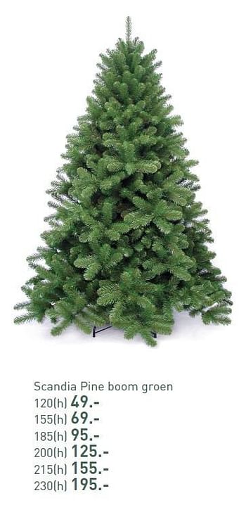 Aanbiedingen Scandia pine boom groen - Huismerk - Multi Bazar - Geldig van 03/11/2015 tot 25/12/2015 bij Multi Bazar
