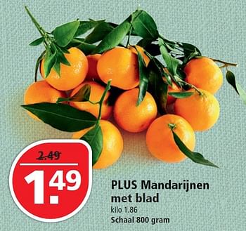 Aanbiedingen Plus mandarijnen met blad - Huismerk - Plus - Geldig van 20/12/2015 tot 26/12/2015 bij Plus