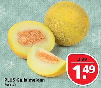 Aanbiedingen Plus galia meloen - Huismerk - Plus - Geldig van 20/12/2015 tot 26/12/2015 bij Plus