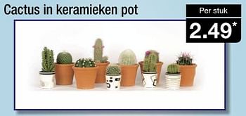 Aanbiedingen Cactus in keramieken pot - Huismerk - Aldi - Geldig van 27/01/2016 tot 03/02/2016 bij Aldi