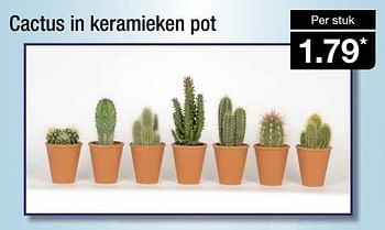 Aanbiedingen Cactus in keramieken pot - Huismerk - Aldi - Geldig van 27/01/2016 tot 03/02/2016 bij Aldi