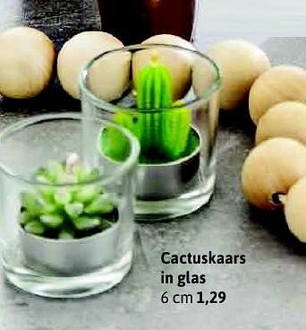 Aanbiedingen Cactuskaars in glas - Huismerk - Xenos - Geldig van 25/01/2016 tot 05/02/2016 bij Xenos