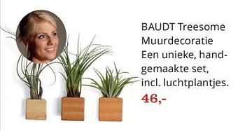 Aanbiedingen Baudt treesome muurdecoratie een unieke, handgemaakte set - Huismerk - Bol - Geldig van 15/02/2016 tot 06/03/2016 bij Bol