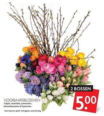 Aanbiedingen Voorjaarsbloemen - Huismerk - Deka Markt - Geldig van 27/03/2016 tot 02/04/2016 bij Deka Markt