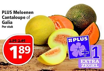 Aanbiedingen Plus meloenen cantaloupe of galia - Huismerk - Plus - Geldig van 17/04/2016 tot 23/04/2016 bij Plus