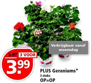 Aanbiedingen Plus geraniums - Huismerk - Plus - Geldig van 24/04/2016 tot 30/04/2016 bij Plus