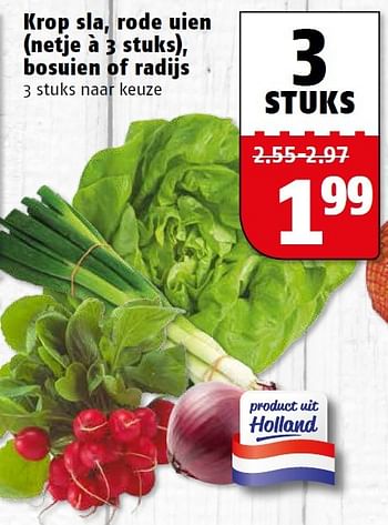 Aanbiedingen Krop sla, rode uien (netje à 3 stuks), bosuien of radijs - Huismerk Poiesz - Geldig van 25/04/2016 tot 01/05/2016 bij Poiesz