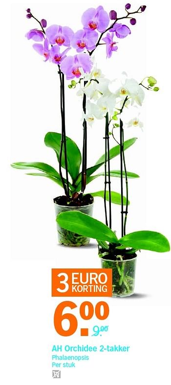 Aanbiedingen Ah orchidee 2-takker - Huismerk - Albert Heijn - Geldig van 25/04/2016 tot 01/05/2016 bij Albert Heijn