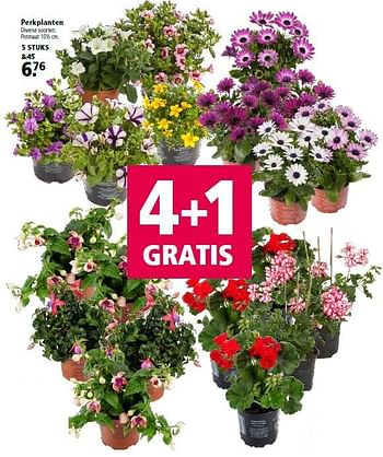 Aanbiedingen Perkplanten - Huismerk - Welkoop - Geldig van 18/04/2016 tot 01/05/2016 bij Welkoop