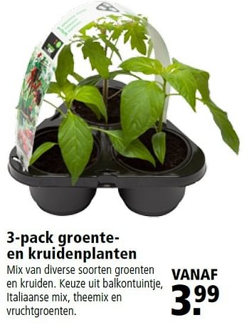 Aanbiedingen Groenteen kruidenplanten - Huismerk - Welkoop - Geldig van 18/04/2016 tot 01/05/2016 bij Welkoop