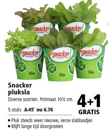 Aanbiedingen Snacker pluksla - Huismerk - Welkoop - Geldig van 18/04/2016 tot 01/05/2016 bij Welkoop