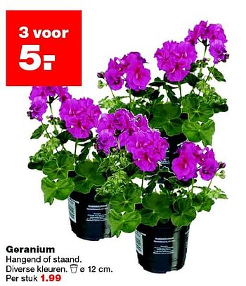 Aanbiedingen Geranium - Huismerk - Praxis - Geldig van 25/04/2016 tot 01/05/2016 bij Praxis