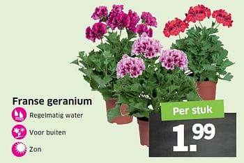 Aanbiedingen Franse geranium - Huismerk - Lidl - Geldig van 25/04/2016 tot 01/05/2016 bij Lidl