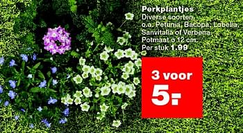 Aanbiedingen Perkplantjes - Huismerk - Praxis - Geldig van 25/04/2016 tot 01/05/2016 bij Praxis