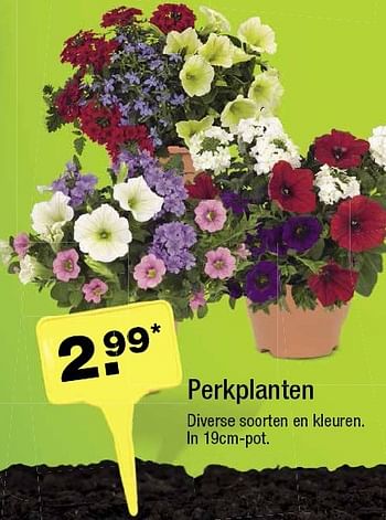 Aanbiedingen Perkplanten - Huismerk - Aldi - Geldig van 04/05/2016 tot 10/05/2016 bij Aldi