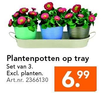 Aanbiedingen Plantenpotten op tray - Huismerk - Blokker - Geldig van 09/05/2016 tot 18/05/2016 bij Blokker