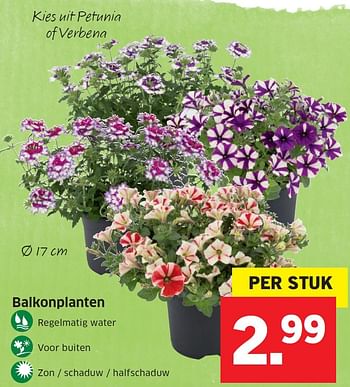 Aanbiedingen Balkonplanten - Huismerk - Lidl - Geldig van 16/05/2016 tot 22/05/2016 bij Lidl