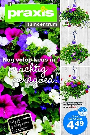 Aanbiedingen Hangpot met perkplanten - Huismerk - Praxis - Geldig van 17/05/2016 tot 22/05/2016 bij Praxis