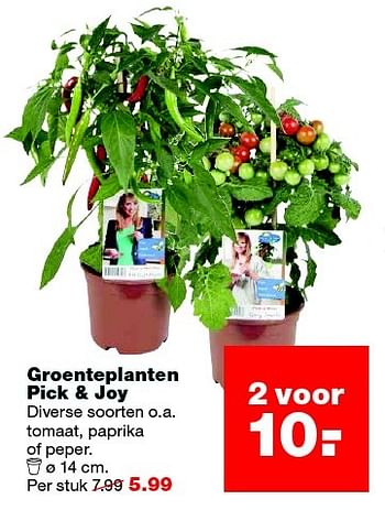 Aanbiedingen Groenteplanten pick + joy - Huismerk - Praxis - Geldig van 17/05/2016 tot 22/05/2016 bij Praxis