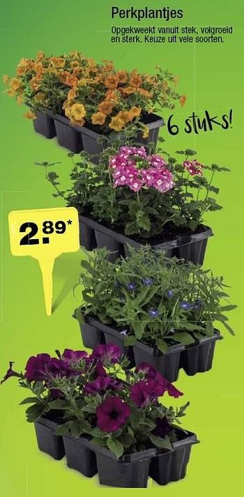 Aanbiedingen Perkplantjes - Huismerk - Aldi - Geldig van 18/05/2016 tot 24/05/2016 bij Aldi