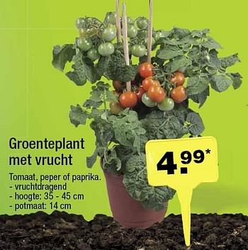 Aanbiedingen Groenteplant met vrucht - Huismerk - Aldi - Geldig van 18/05/2016 tot 24/05/2016 bij Aldi