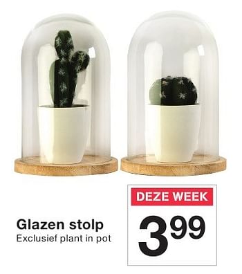 Aanbiedingen Glazen stolp - Huismerk - Zeeman  - Geldig van 30/07/2016 tot 05/08/2016 bij Zeeman