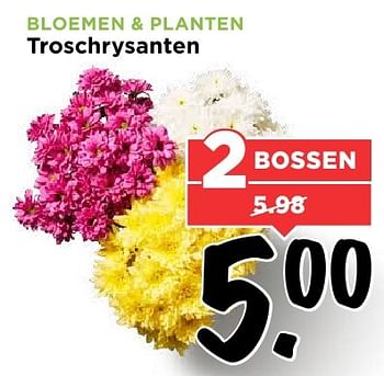 Aanbiedingen Bloemen + planten troschrysanten - Huismerk Vomar - Geldig van 07/08/2016 tot 13/08/2016 bij Vomar
