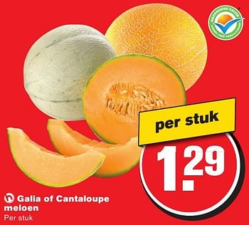 Aanbiedingen Galia of cantaloupe meloen - Huismerk - Hoogvliet - Geldig van 10/08/2016 tot 16/08/2016 bij Hoogvliet
