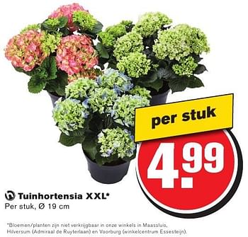 Aanbiedingen Tuinhortensia xxl - Huismerk - Hoogvliet - Geldig van 10/08/2016 tot 16/08/2016 bij Hoogvliet