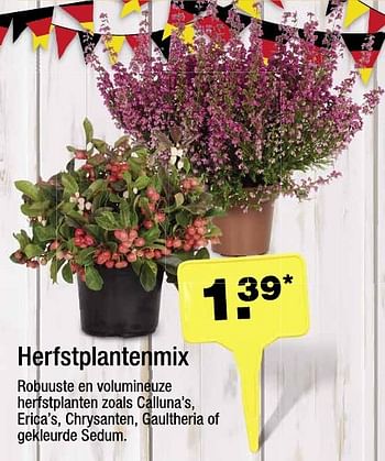 Aanbiedingen Herfstplantenmix robuuste en volumineuze - Huismerk - Aldi - Geldig van 21/09/2016 tot 27/09/2016 bij Aldi