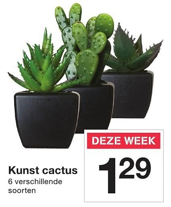 Aanbiedingen Kunst cactus - Huismerk - Zeeman  - Geldig van 24/09/2016 tot 25/09/2016 bij Zeeman