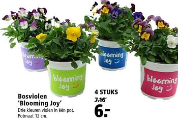 Aanbiedingen Bosviolen blooming joy - Huismerk - Welkoop - Geldig van 26/09/2016 tot 09/10/2016 bij Welkoop